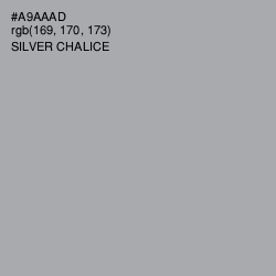 #A9AAAD - Silver Chalice Color Image
